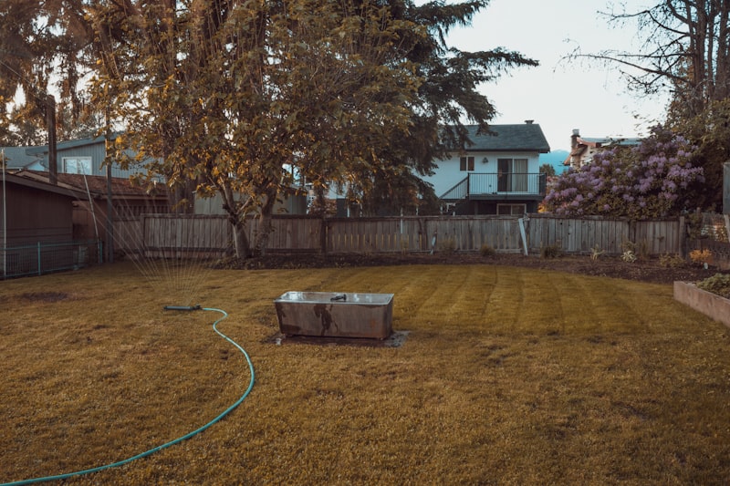 Before: neglected backyard with dead grass and no landscaping