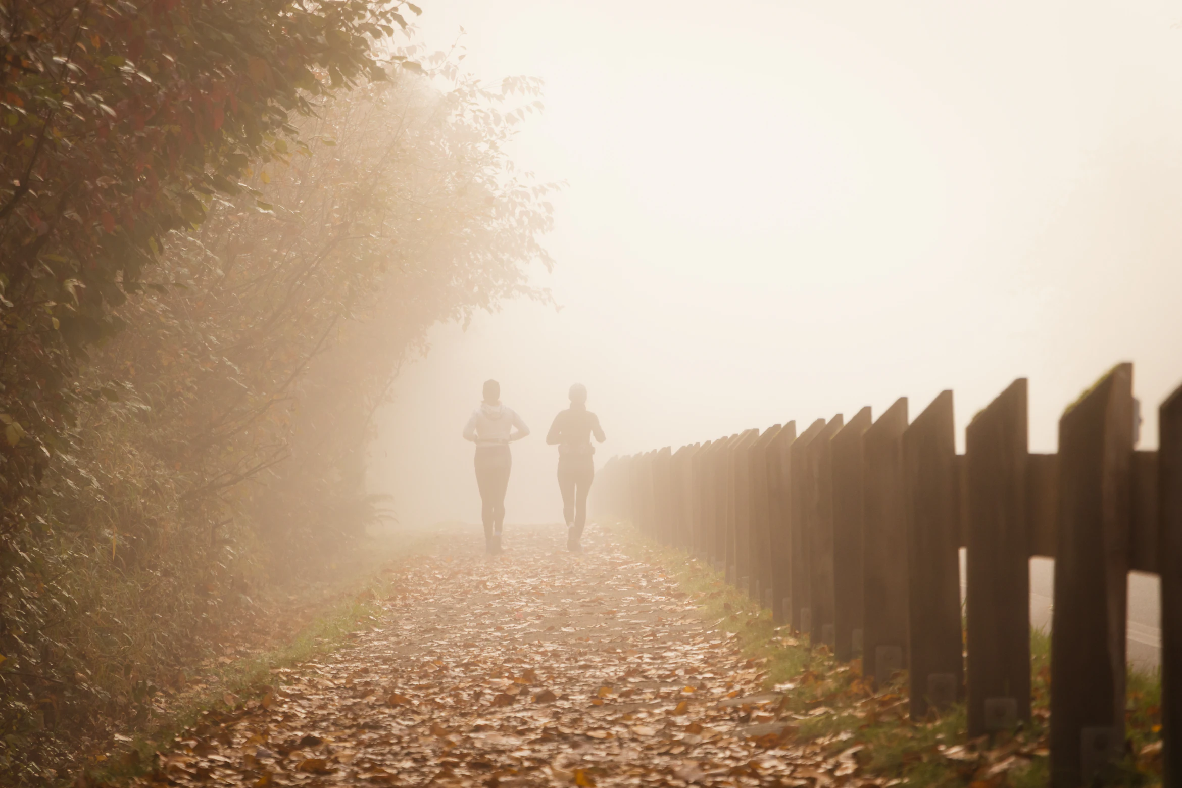 Friends walking together on a mountain trail