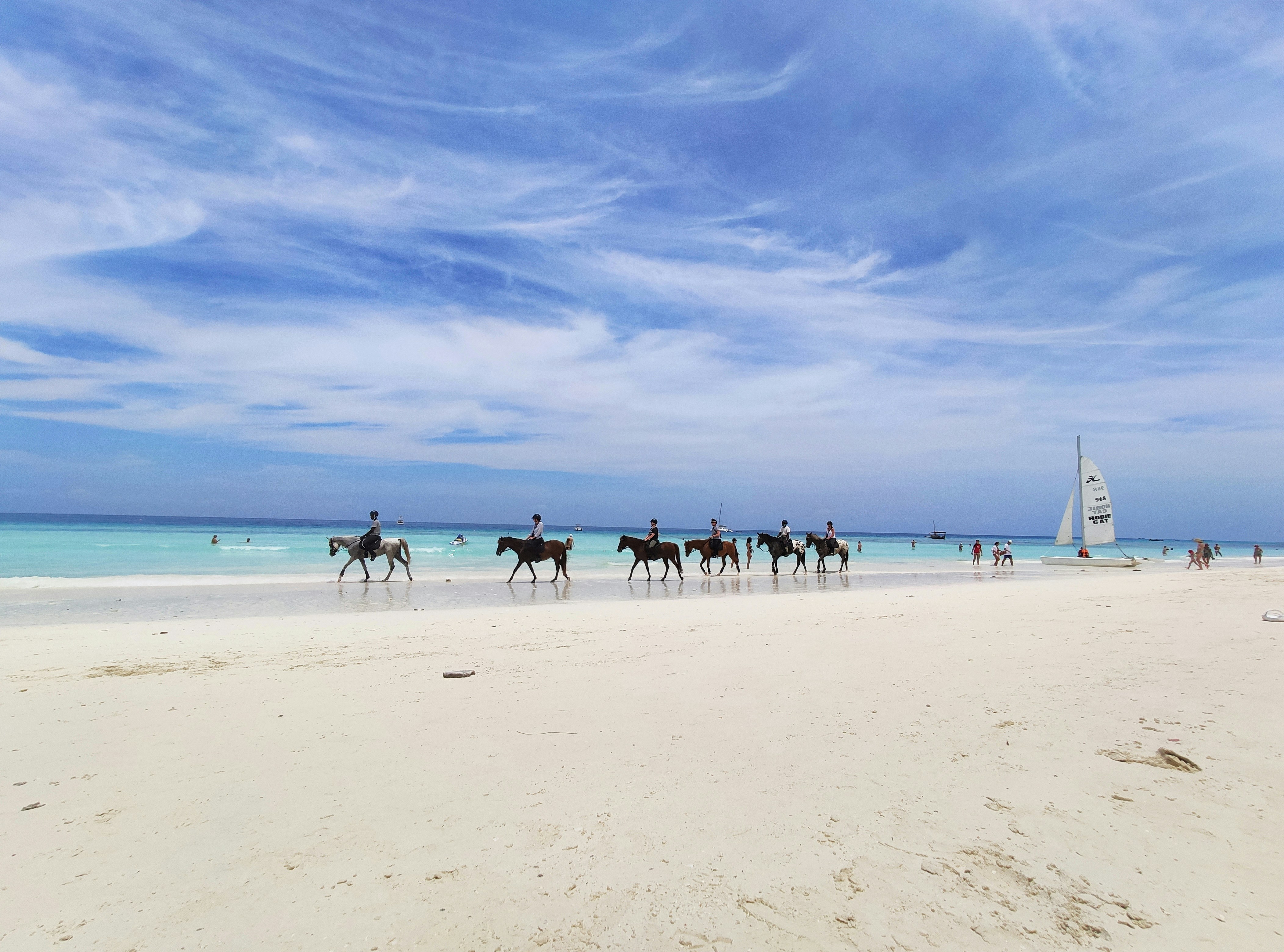 people on beach during daytime