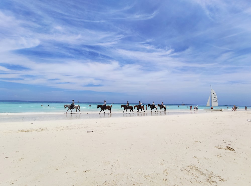 people on beach during daytime