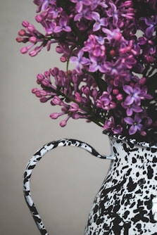 purple and white flowers in white and black ceramic vase