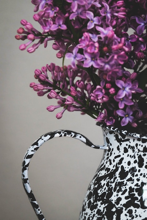 purple and white flowers in white and black ceramic vase