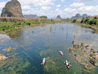 A drone shot capturing kayakers exploring green forest surroundings along the lake.
