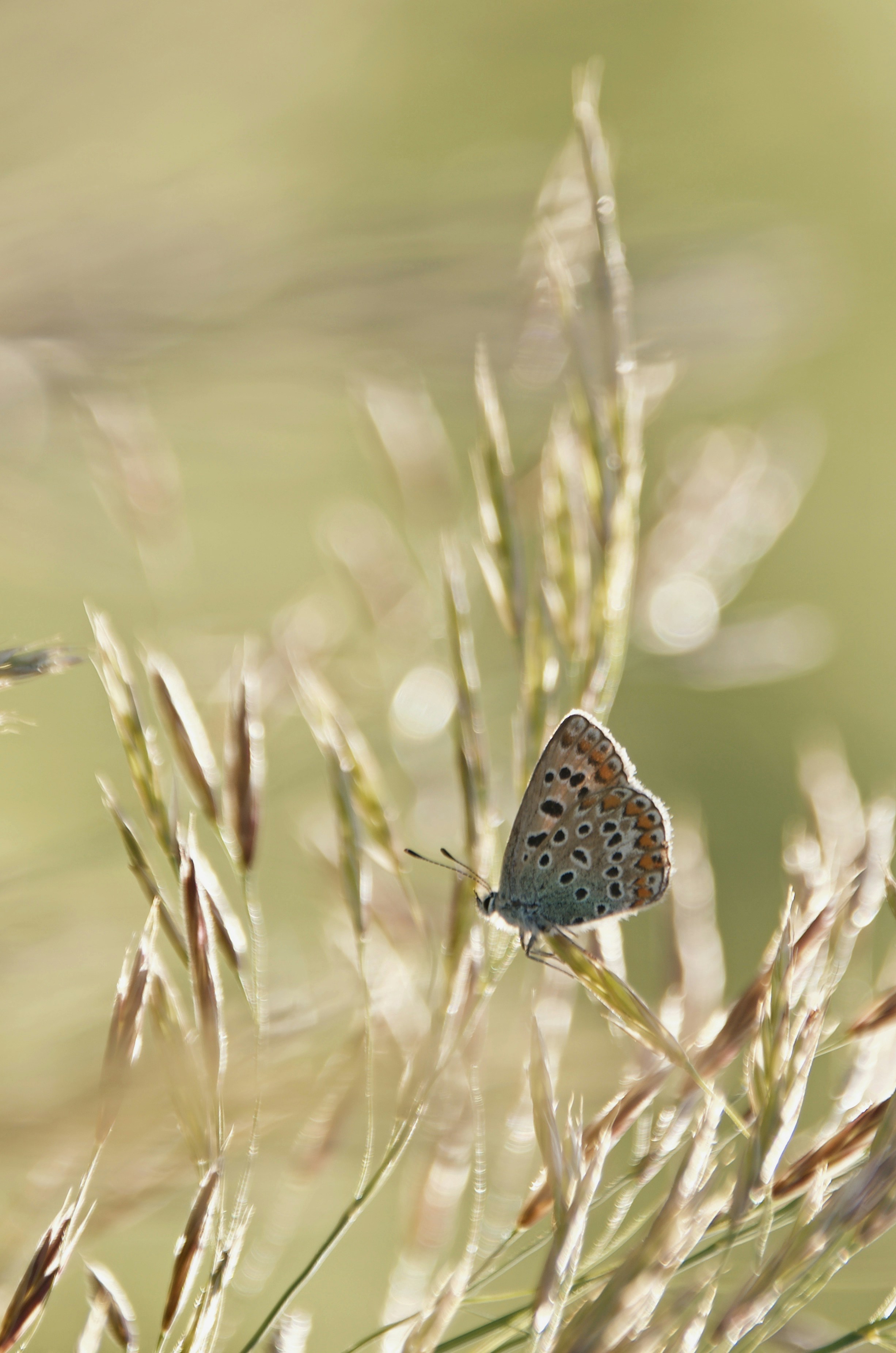 Photo by mariobeducci