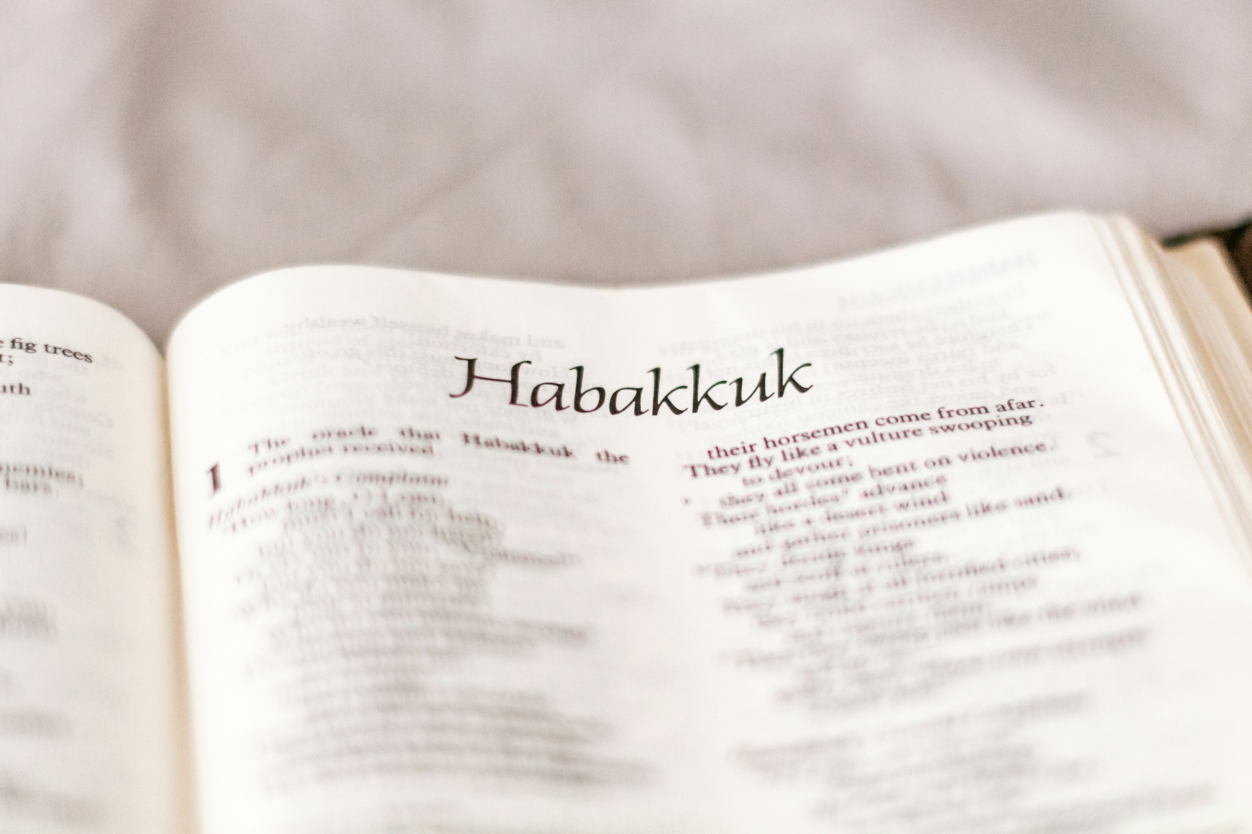 P.W. Minicom Mirosław Stankiewicz