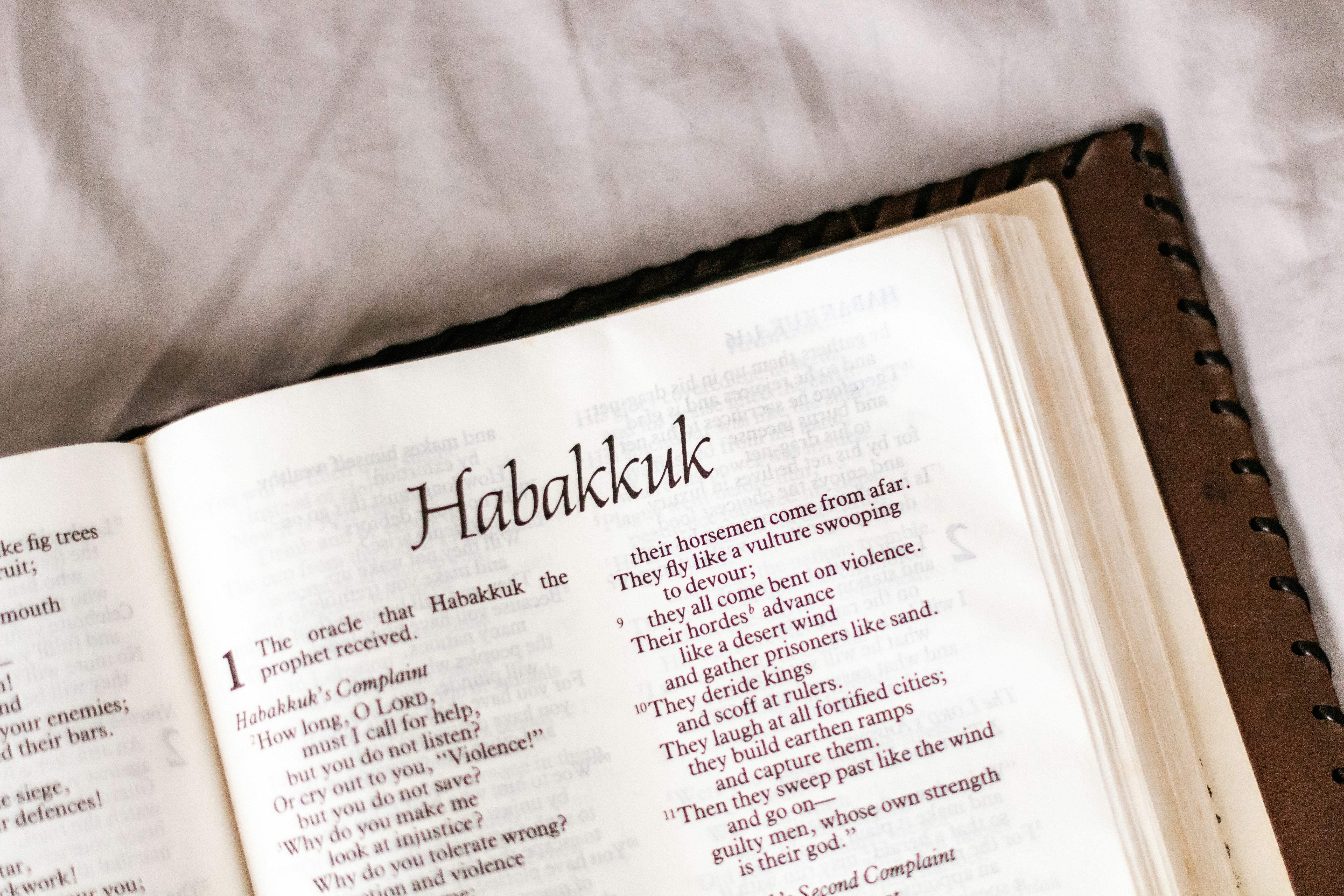 The Bible book Of Habakkuk
