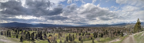 A panoramic shot of the Digital World landscape filled with Digimon.