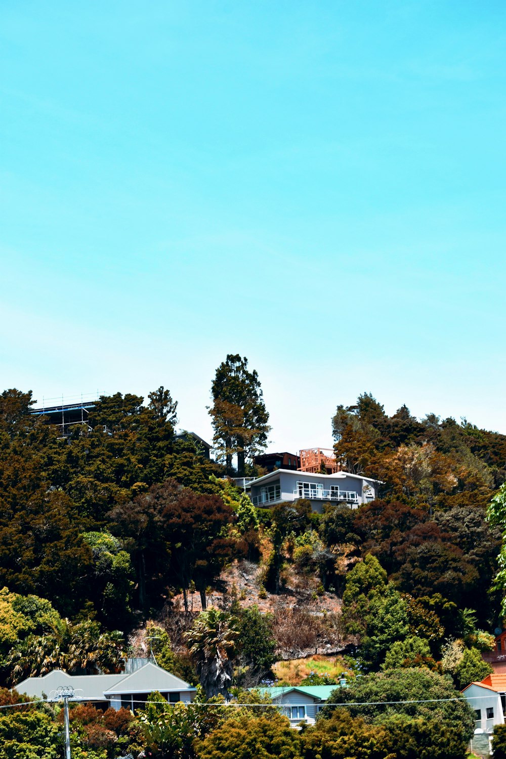 weißes und braunes Haus, umgeben von grünen Bäumen unter blauem Himmel während des Tages
