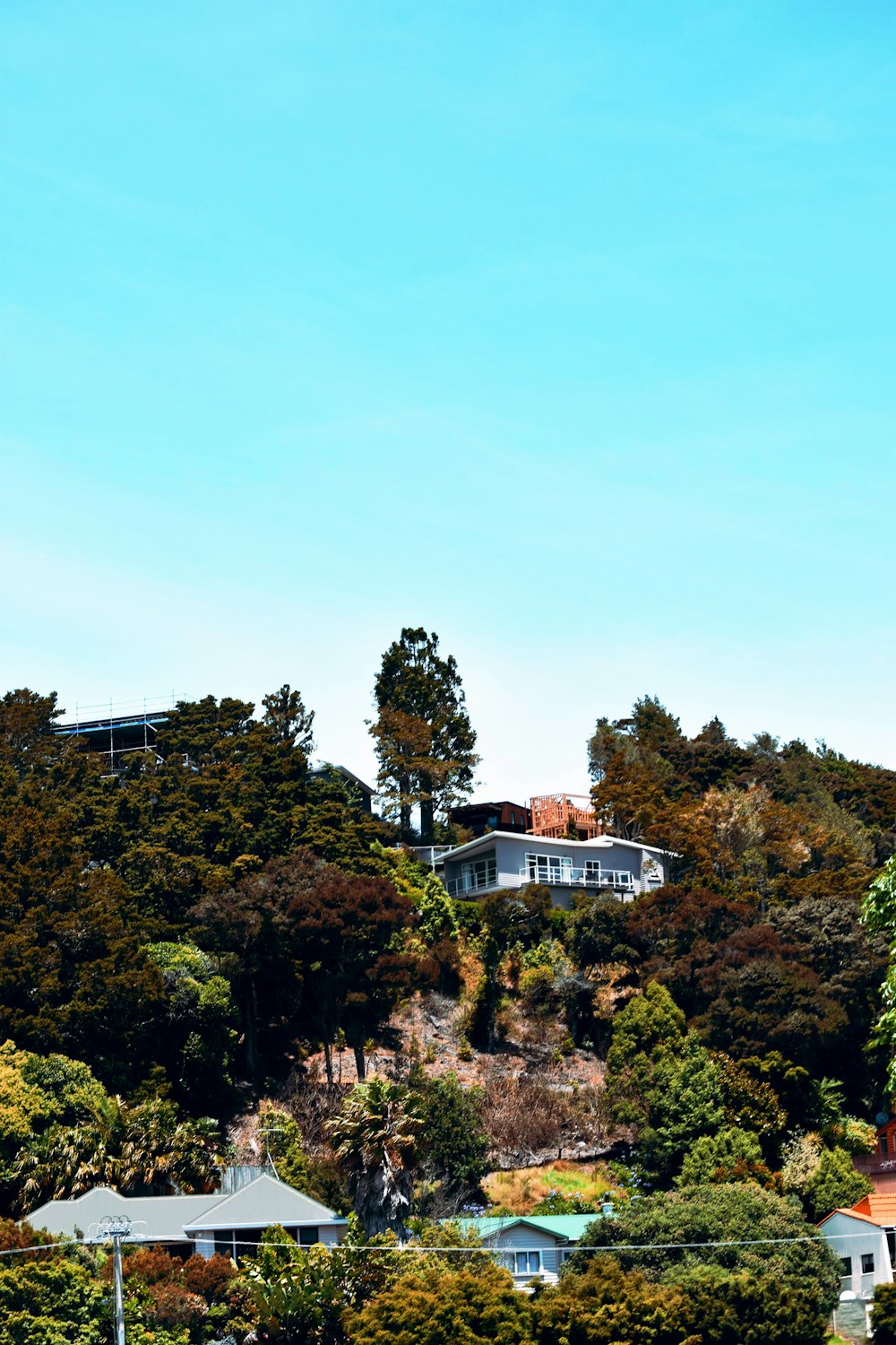 white and brown house surrounded by green trees under blue sky during daytime