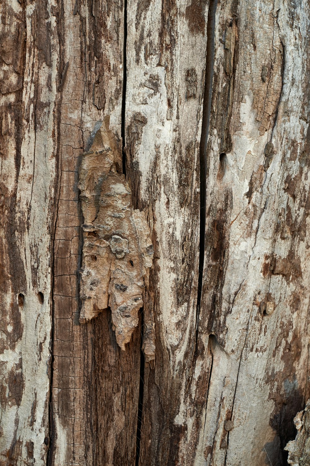 brown and white wooden surface