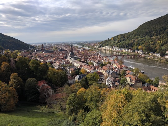 aerial view of city near river during daytime in Heidelberg Germany