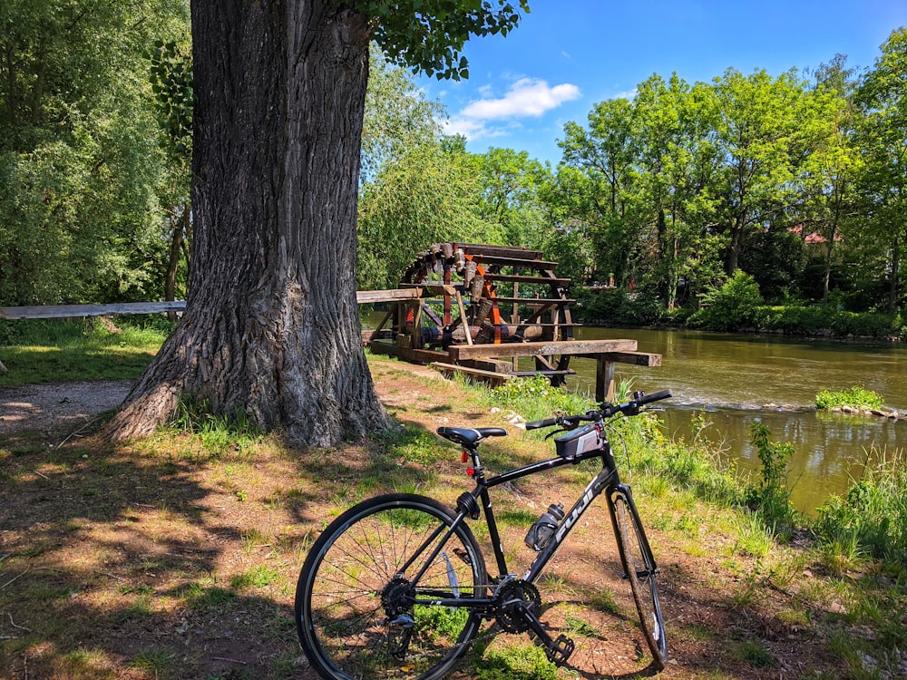 black commuter bike parked beside brown tree trunk near river during daytime