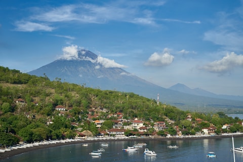 amed bali