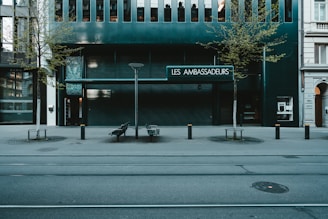 A street scene featuring a modern storefront with the sign 'Les Ambassadeurs.' The building facade is dark with large windows lining the top. Two trees with sparse leaves are evenly spaced in front of the shop. The pavement has designated walking paths, and there are a few benches and lamp posts near the storefront. Tram tracks run parallel to the street.