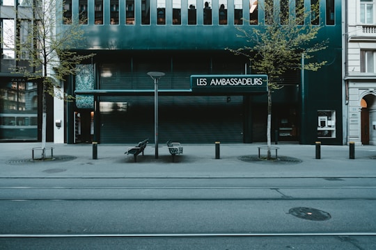 A street scene featuring a modern storefront with the sign 'Les Ambassadeurs.' The building facade is dark with large windows lining the top. Two trees with sparse leaves are evenly spaced in front of the shop. The pavement has designated walking paths, and there are a few benches and lamp posts near the storefront. Tram tracks run parallel to the street.