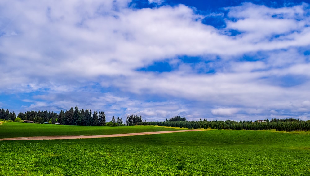 campo de grama verde sob o céu nublado durante o dia