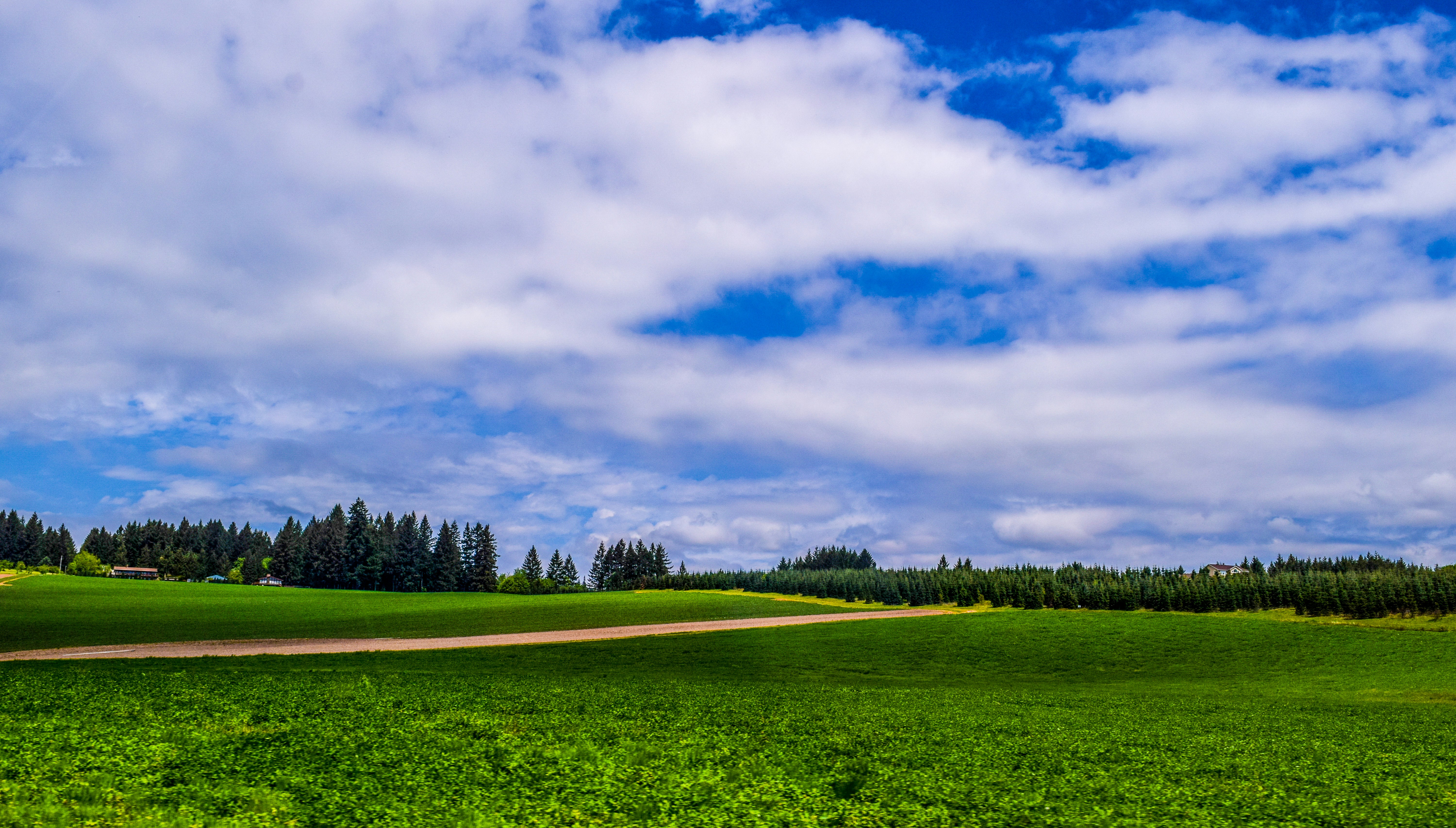 A lively day. Banks, Oregon.