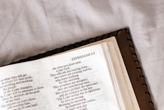 An open book displaying a page from the Bible, specifically the book of Zephaniah. The page is slightly tilted and the focus is on the text, which is in a serif font. The book has a leather cover and is placed on a soft, off-white surface.