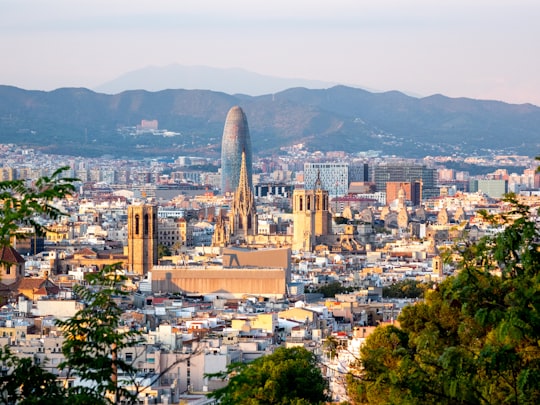 aerial view of city buildings during daytime in Montjuïc Spain