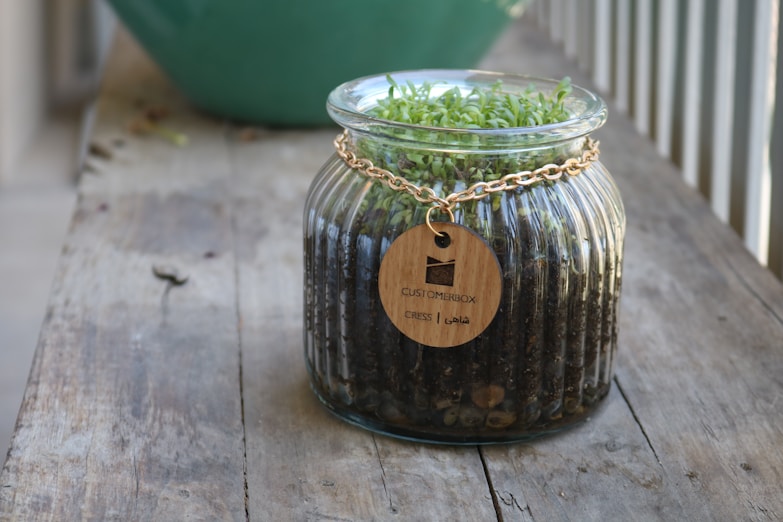 A glass jar placed on a wooden surface contains dark soil and is topped with green sprouts. A gold chain is wrapped around the neck of the jar, with a wooden tag attached that has the word 'CRESS' and some text in another language.
