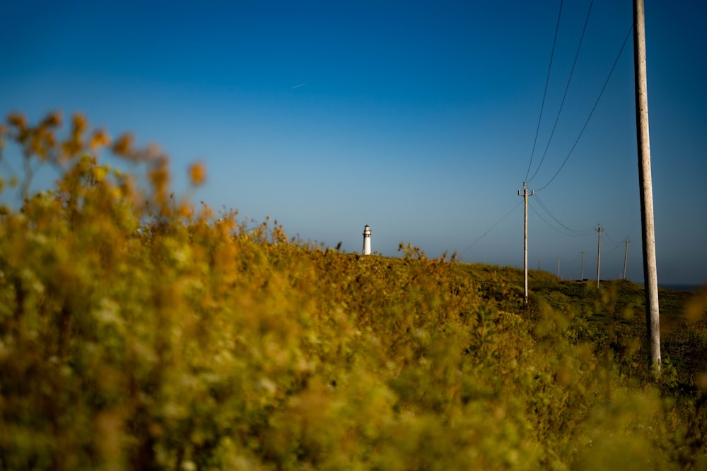 white and black wind mill on green grass field under blue sky during daytime