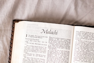 white book page on white textile