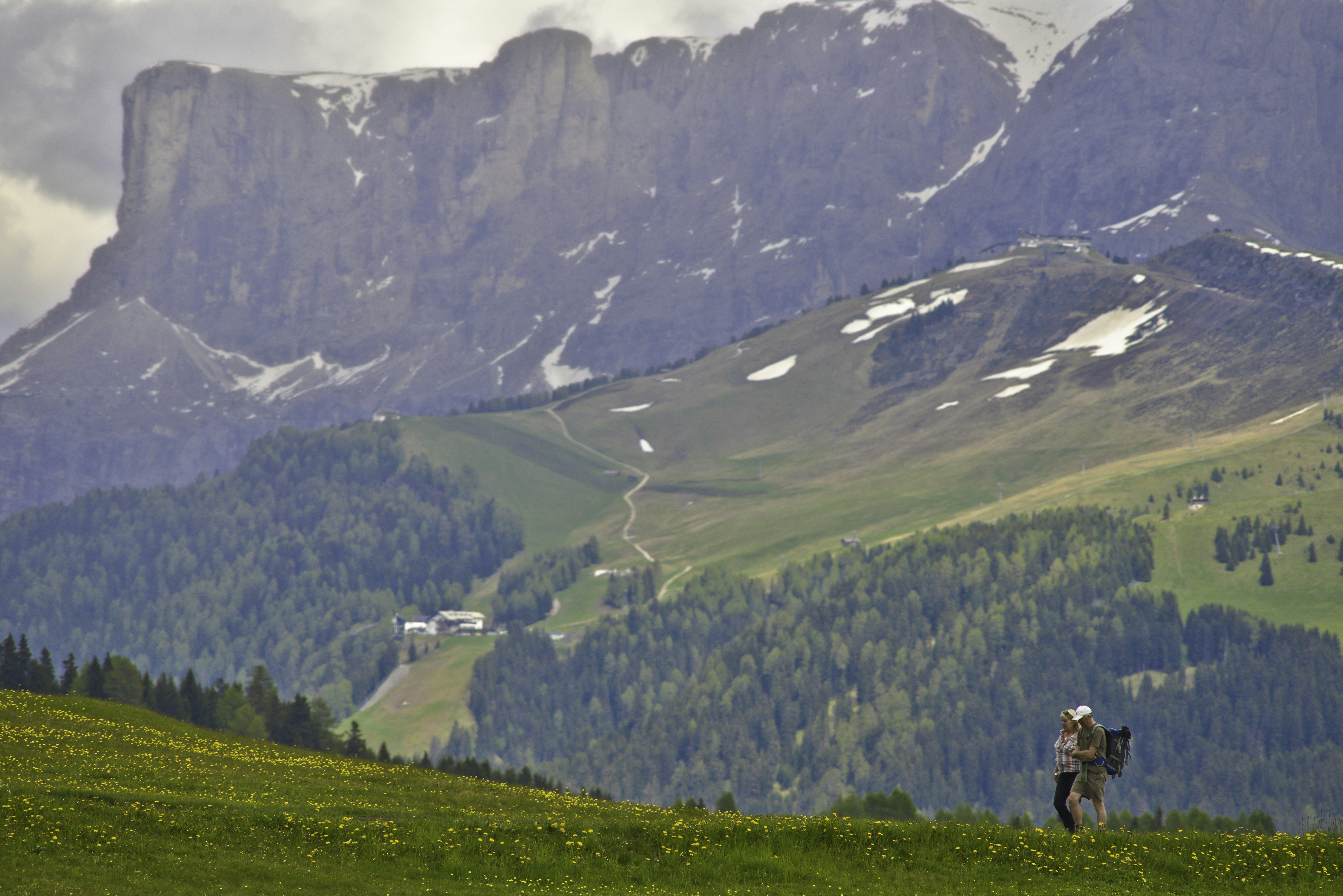 person in black jacket standing on green grass field near snow covered mountains during daytime