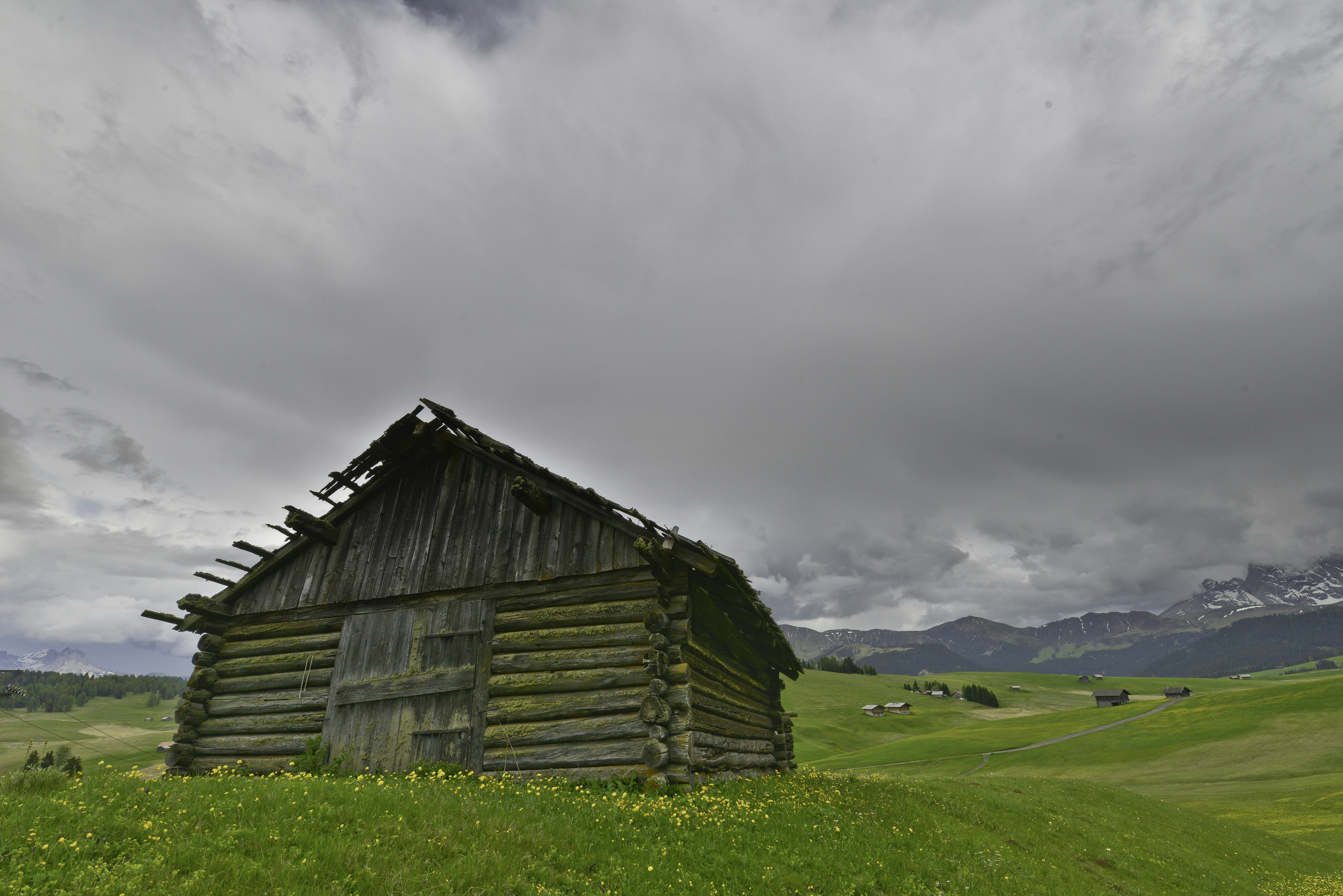 Photo by stefano_zocca