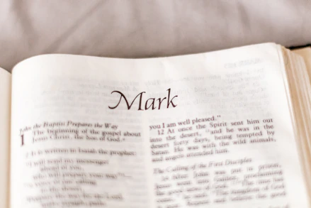 white printer paper on white textile