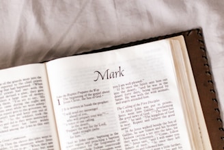 white book page on white textile