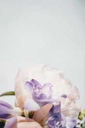 A soft pastel lavender background with elegant silk flowers arranged delicately.