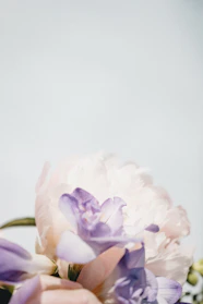 A soft pastel lavender background with elegant silk flowers arranged delicately.