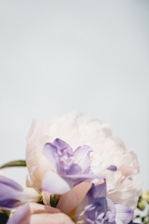 Delicate pastel flowers in soft focus, with pale purple and pink hues, create a gentle and serene aesthetic against a light background.