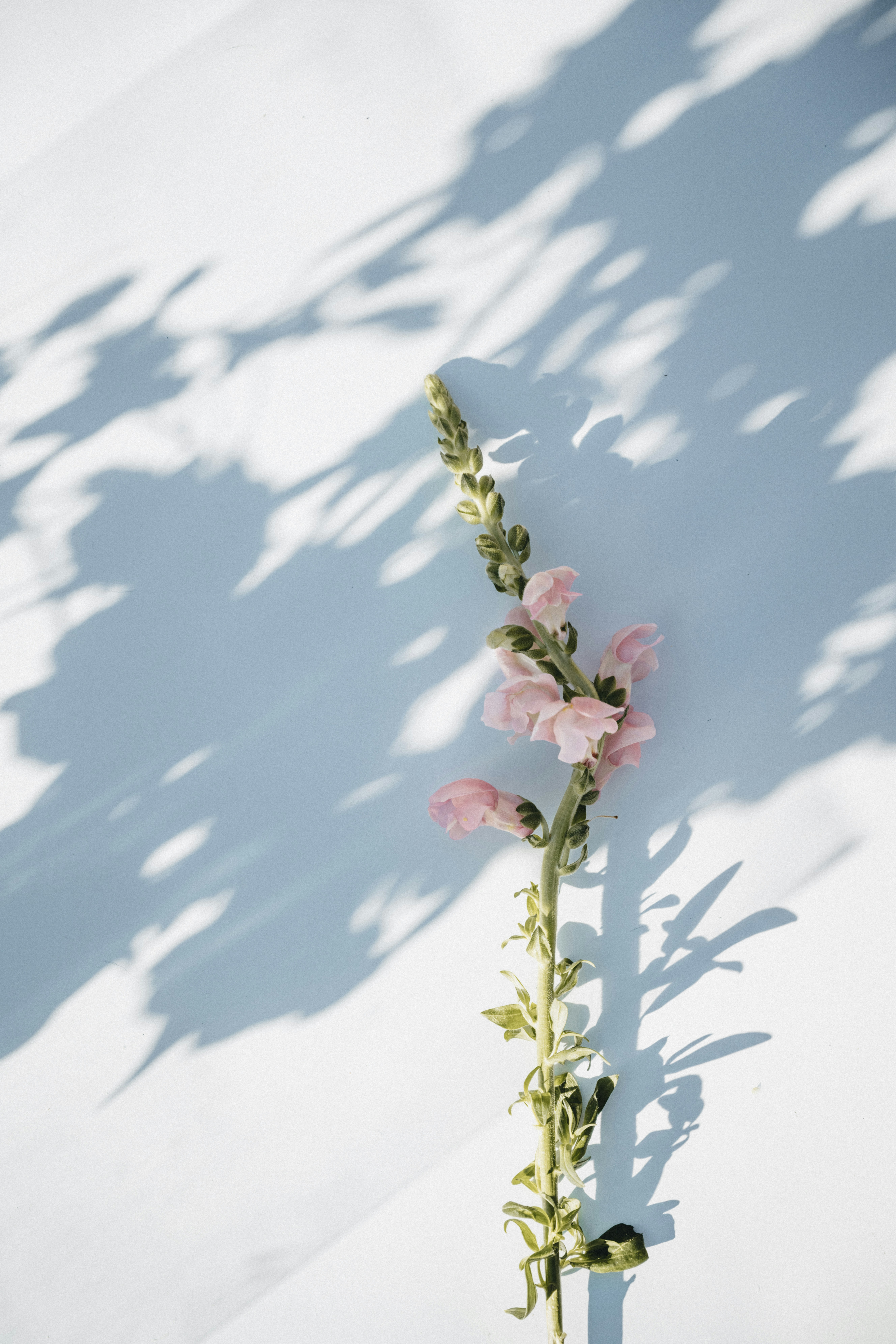 Photo by anniespratt