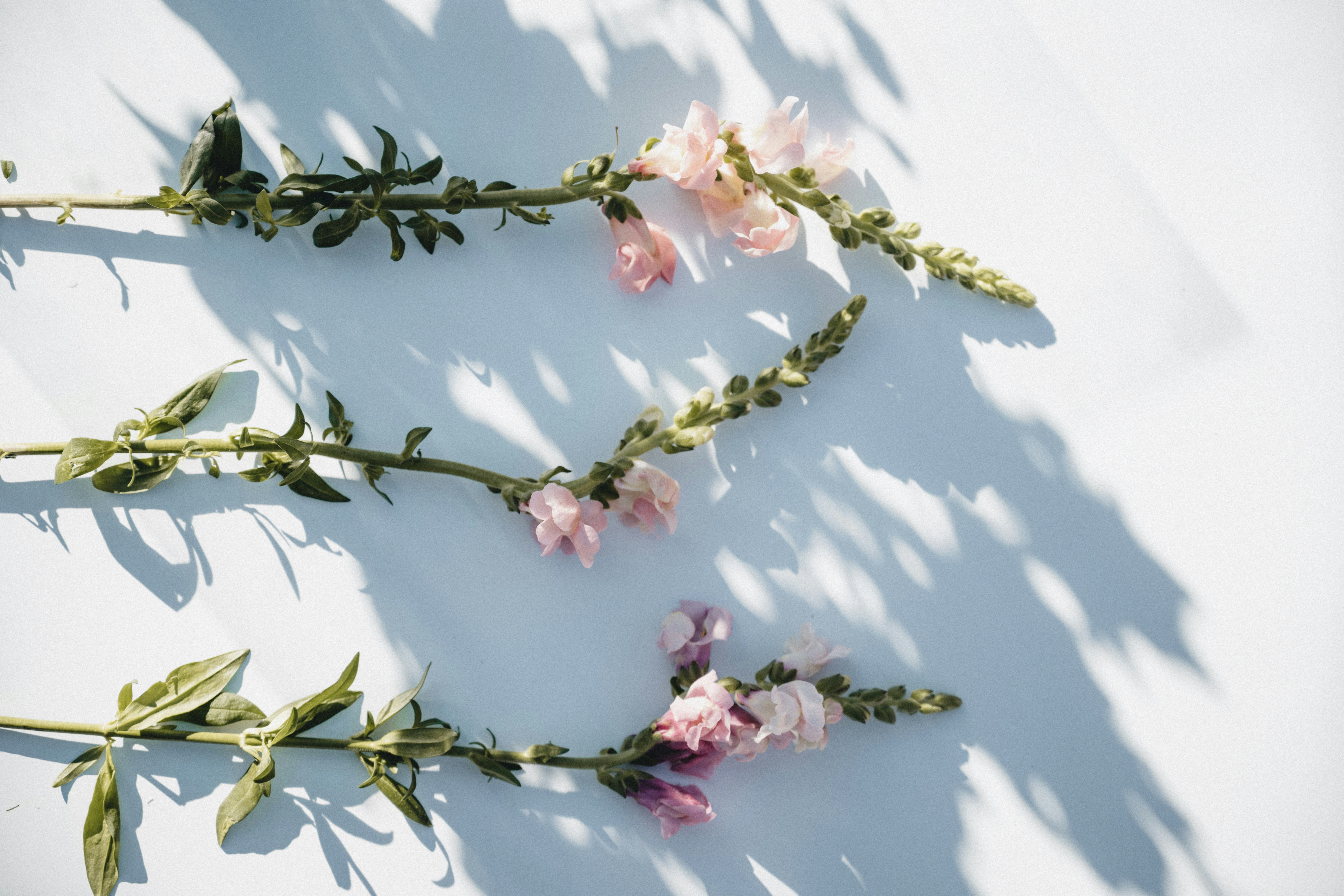 Attention as Selection: What Gets Into Consciousness