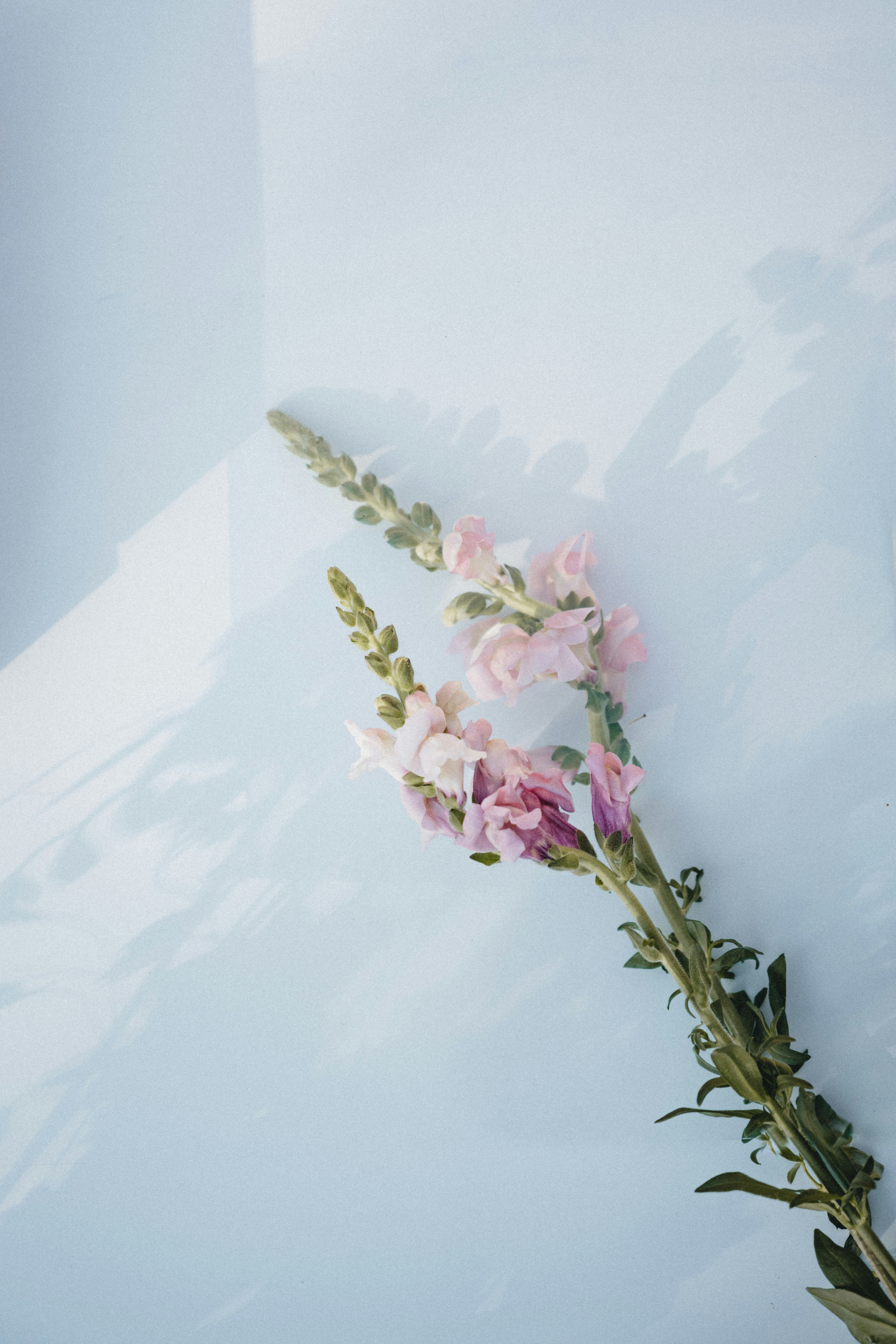 Photo by anniespratt