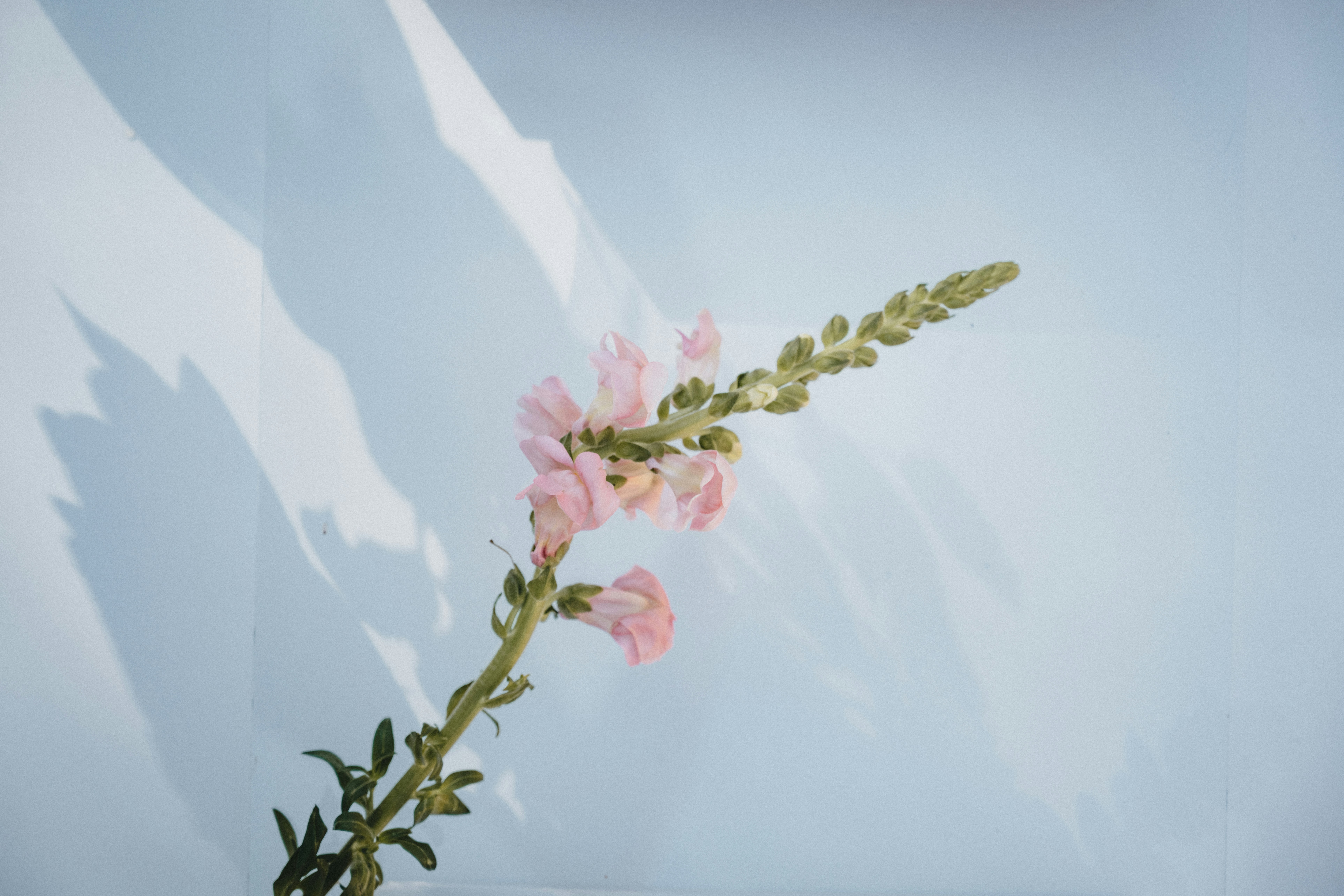 Photo by anniespratt