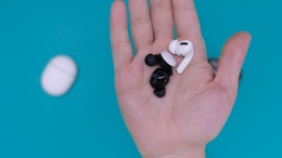 white and black earbuds on persons hand