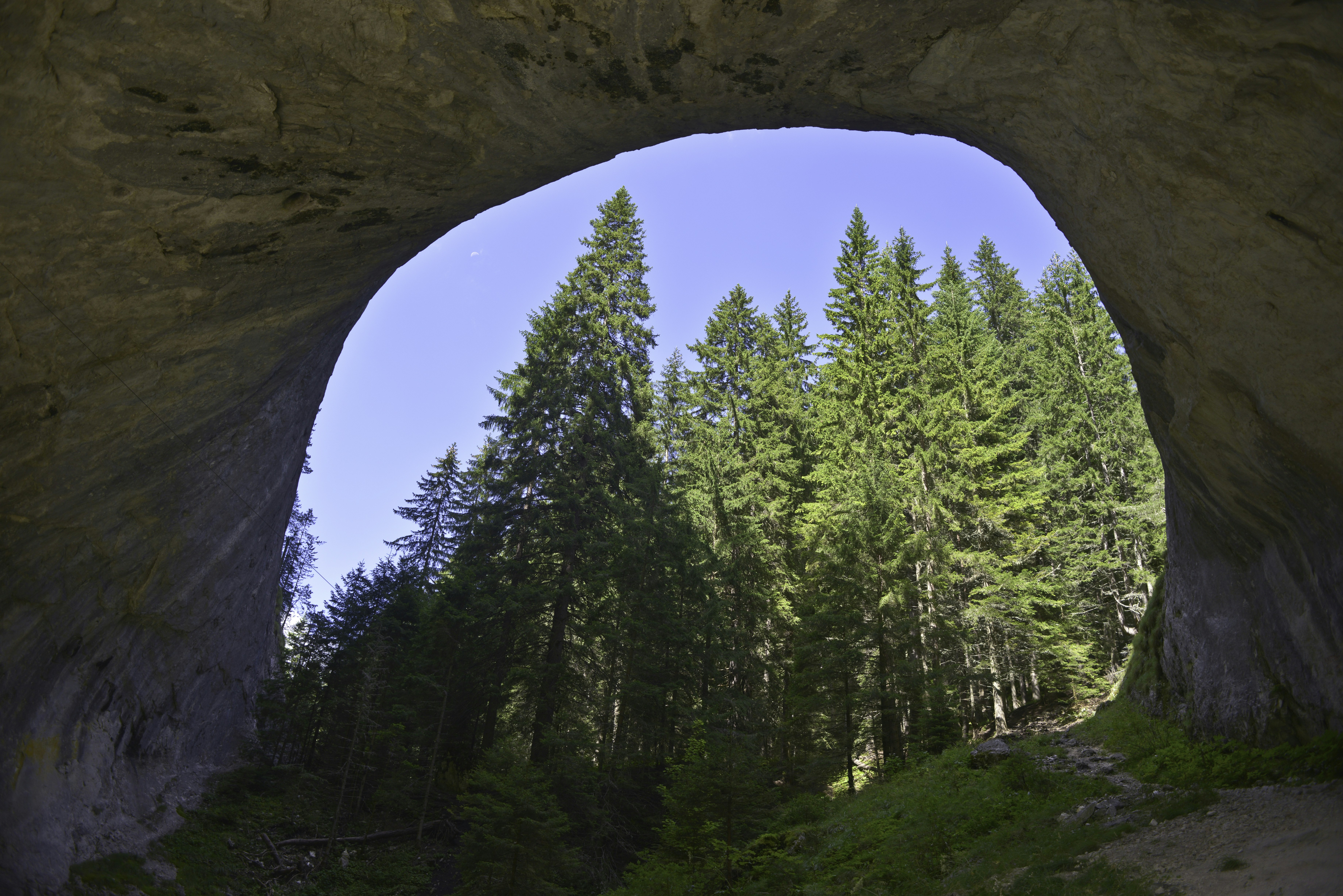 Featured image of post monad-bft