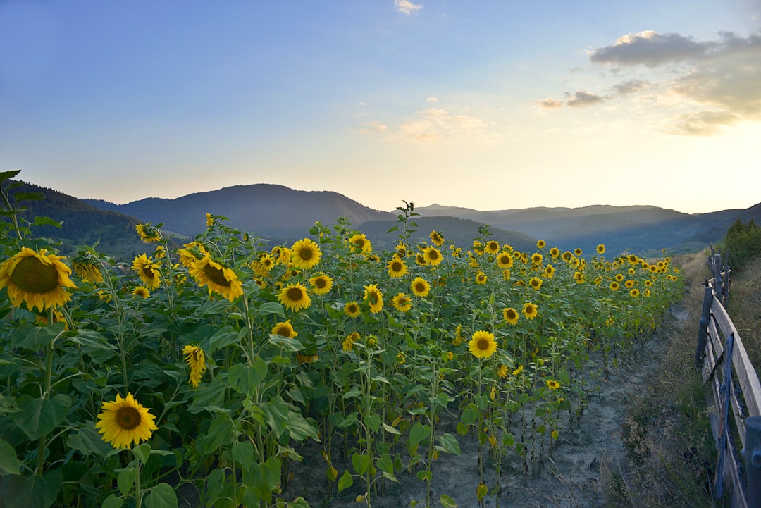 Ecoregion photo spot Devin Bulgaria