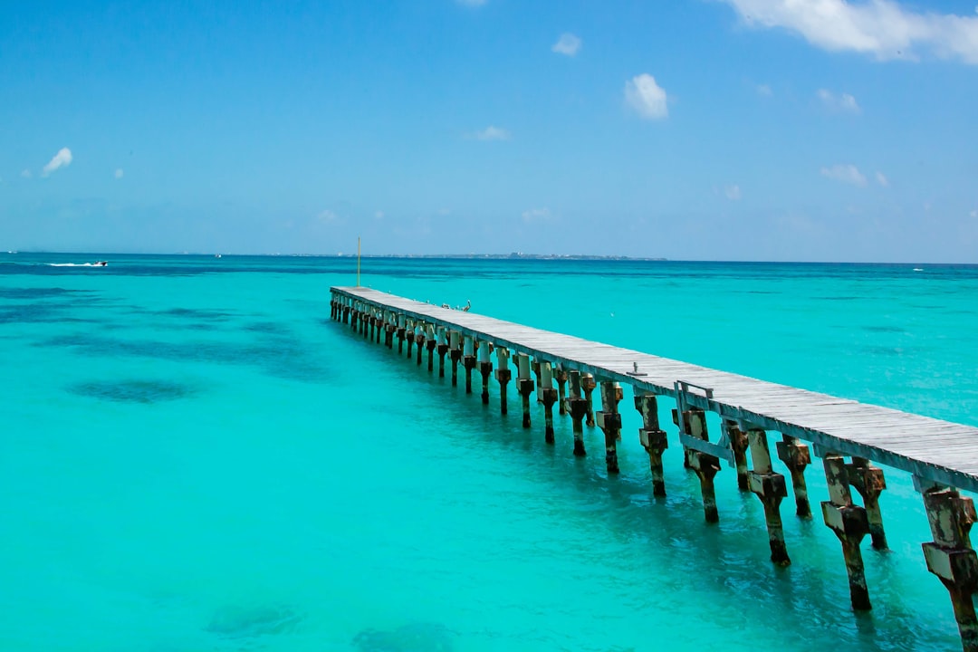 Tropics photo spot Cancún Mexico