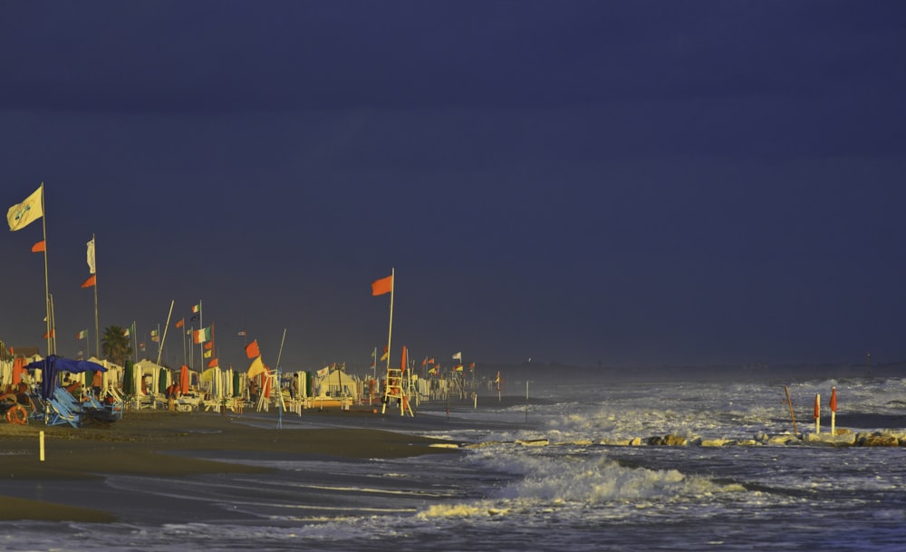people on beach during night time