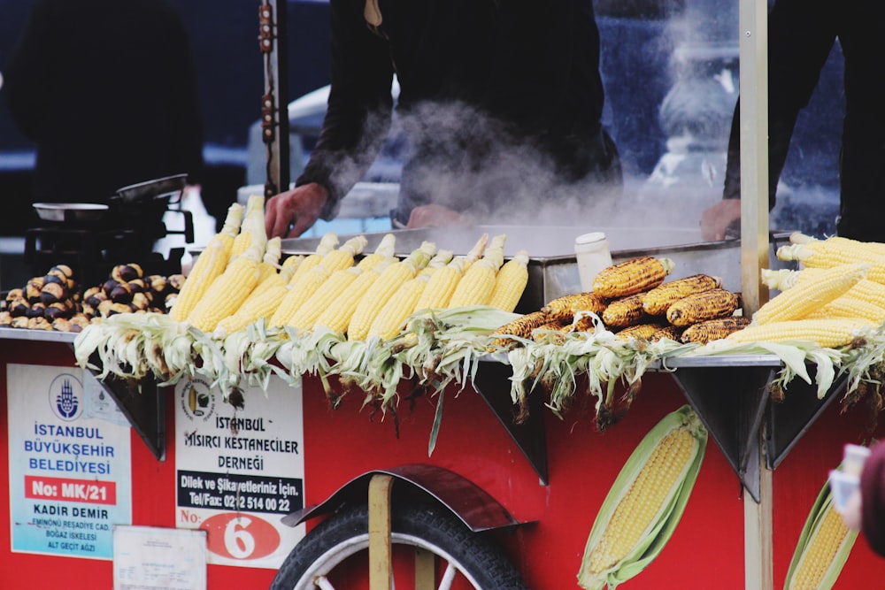 person in black long sleeve shirt holding corn