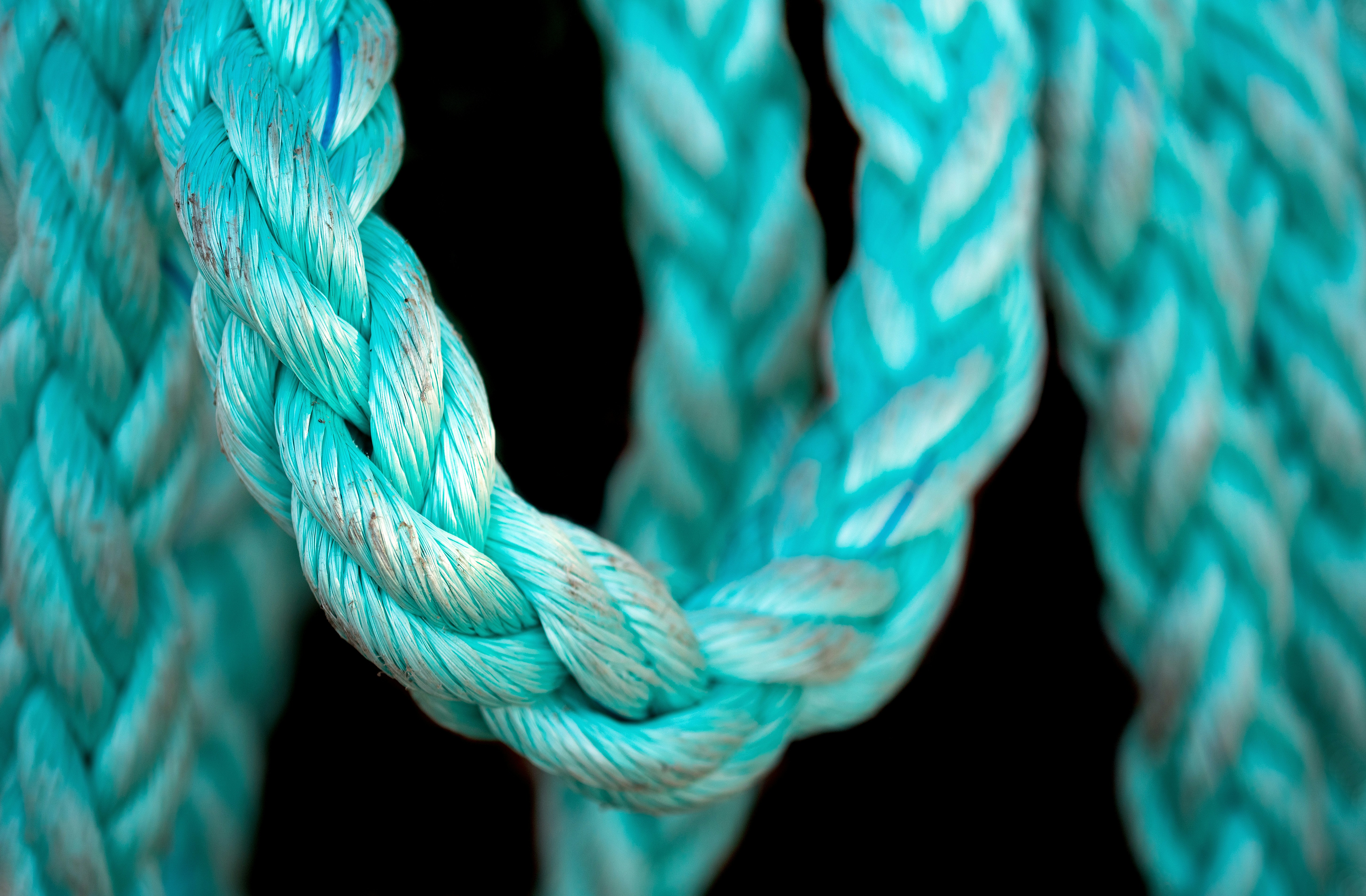 Blue and white rope illustration photo – Free Australia Image on Unsplash