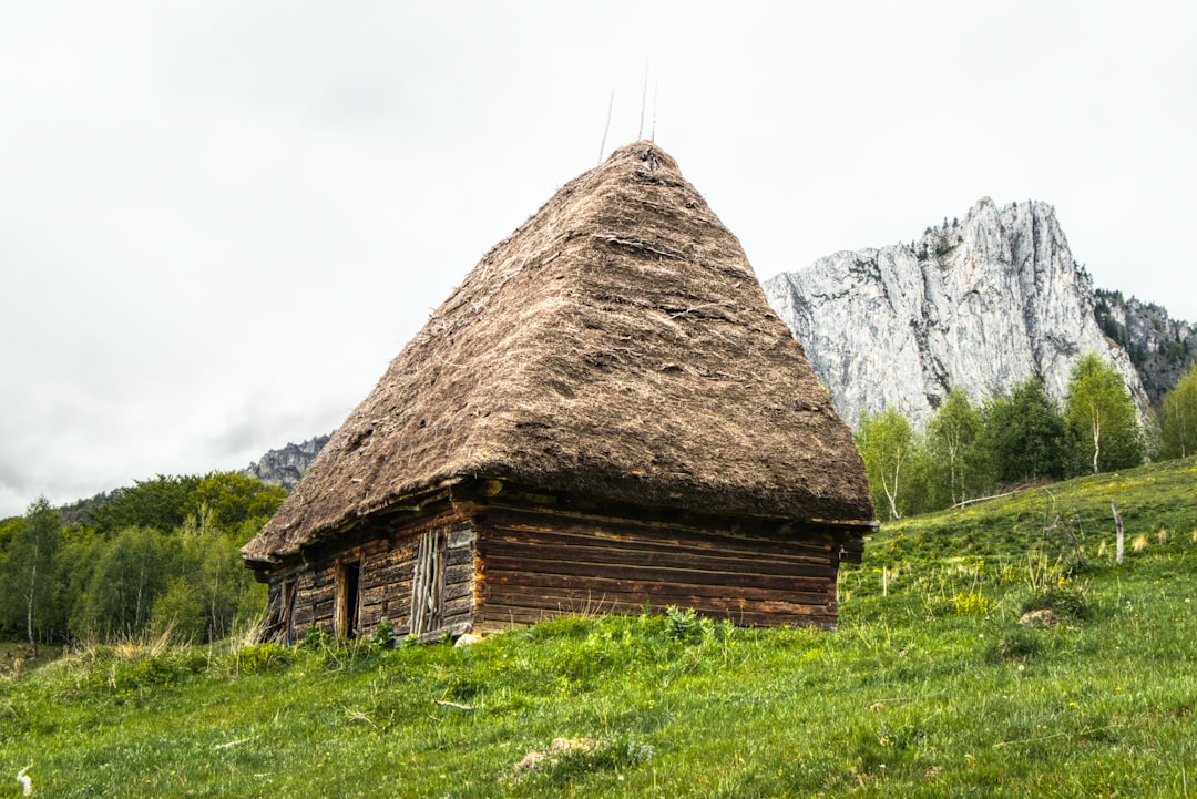 travelers stories about Hut in È˜esul Craiului - ScÄƒriÈ›a-Belioara, Romania