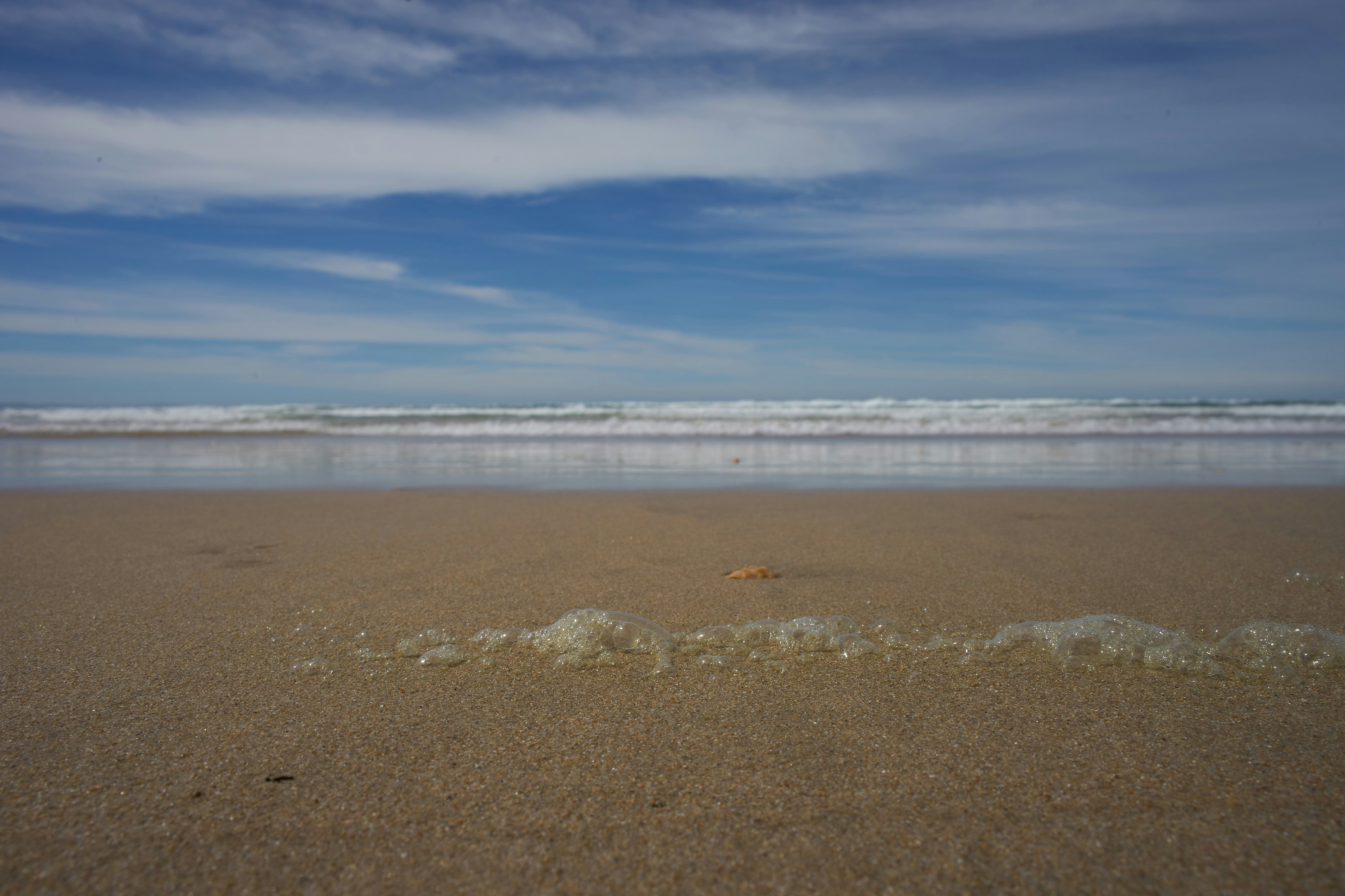 Photo by wolfgang_hasselmann