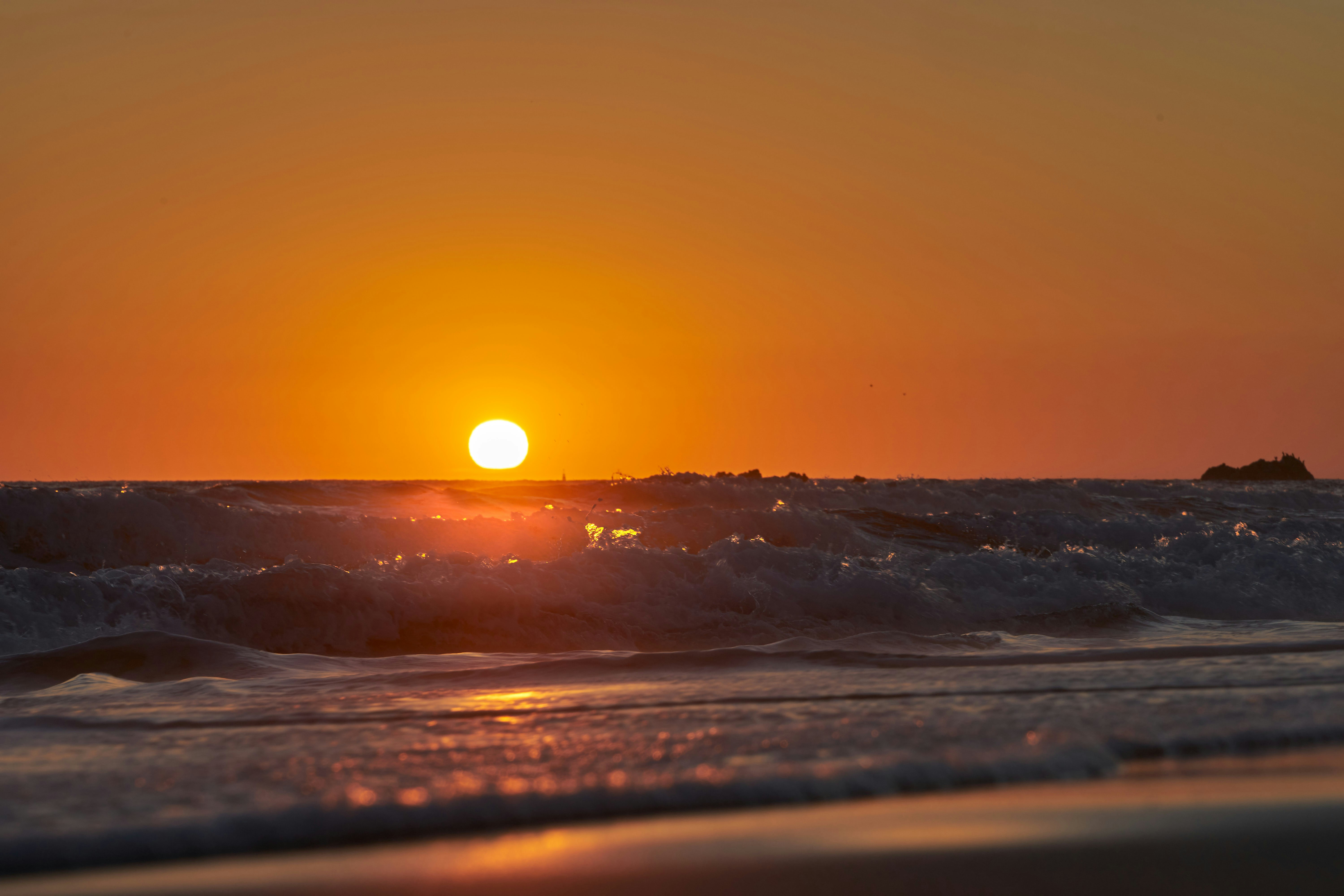 Photo by wolfgang_hasselmann