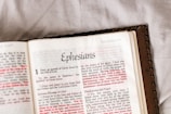 the new york times book