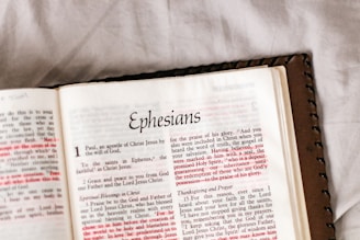 the new york times book