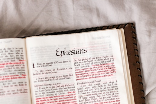 the new york times book